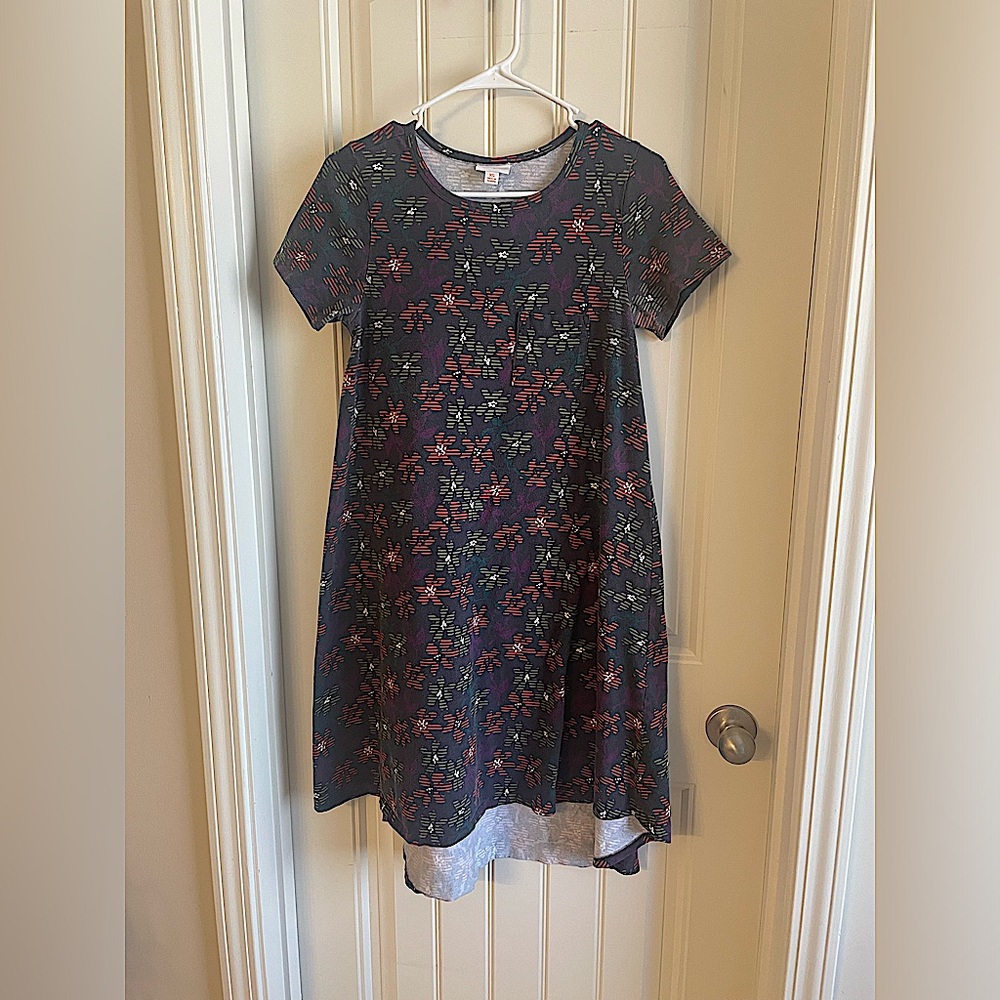 LuLaRoe dress with fall colors and flowers. Size XS